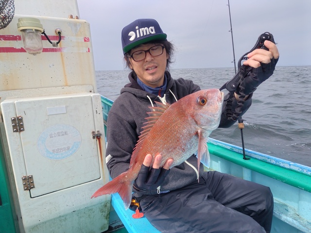 マダイ