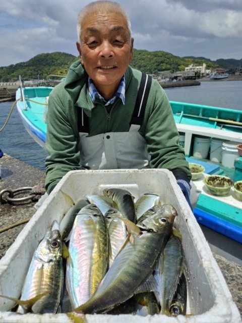 アジ(マアジ)