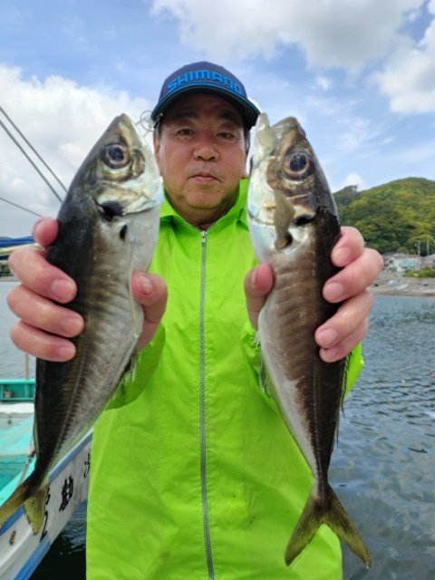 アジ(マアジ)