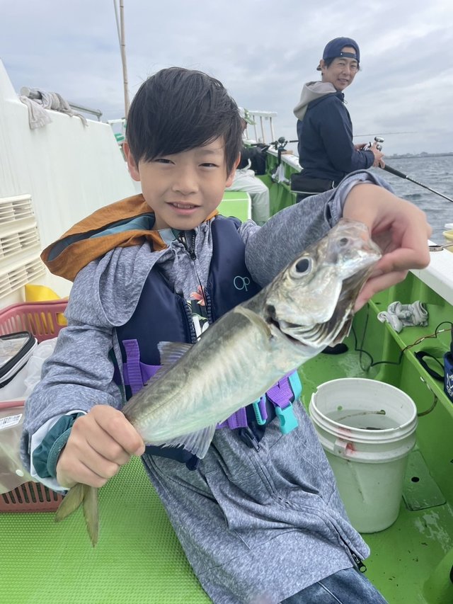 アジ(マアジ)