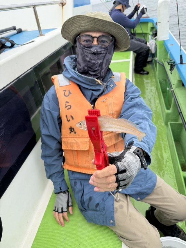 シロギス