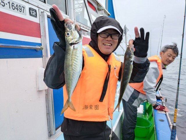 アジ(マアジ)