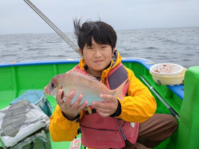 ハナダイ(チダイ)