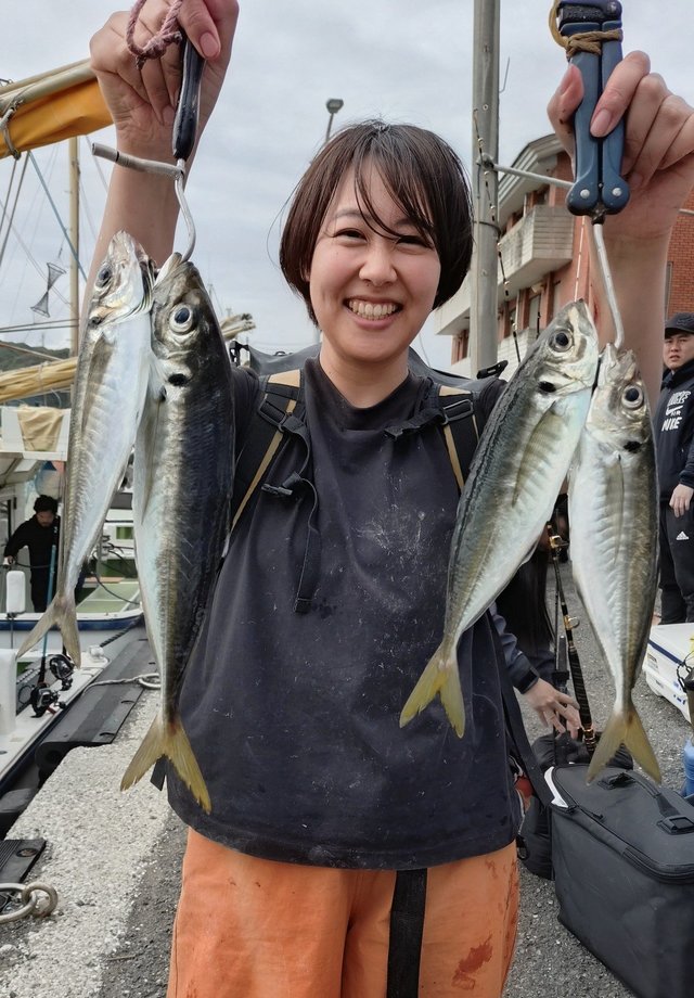アジ(マアジ)