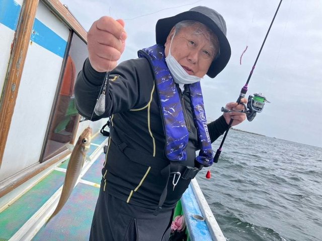 シロギス