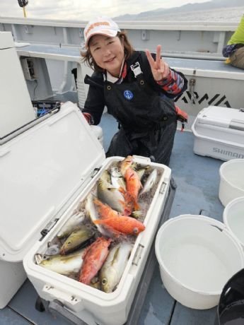 アカイサキ・イサキ