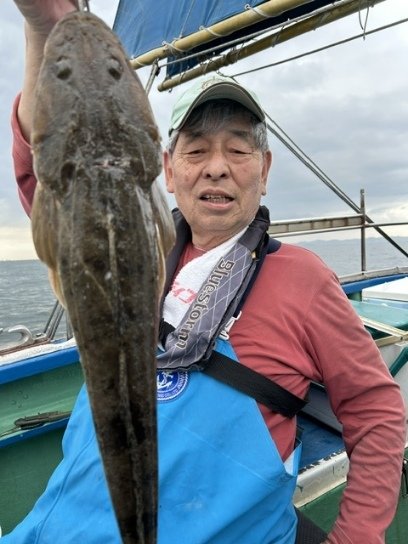 マゴチ