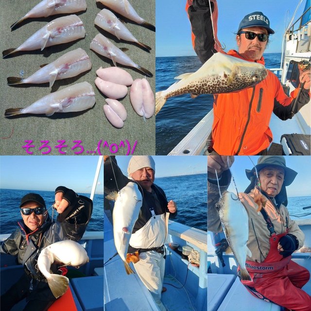 ショウサイフグ