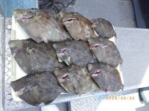 カワハギ