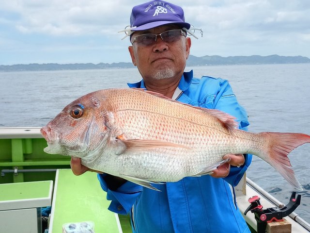 マダイ