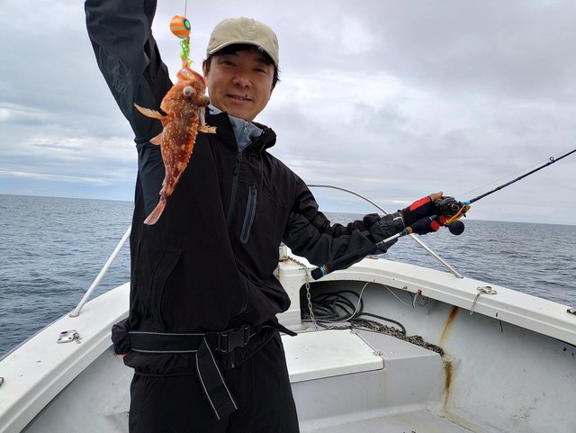 カサゴ