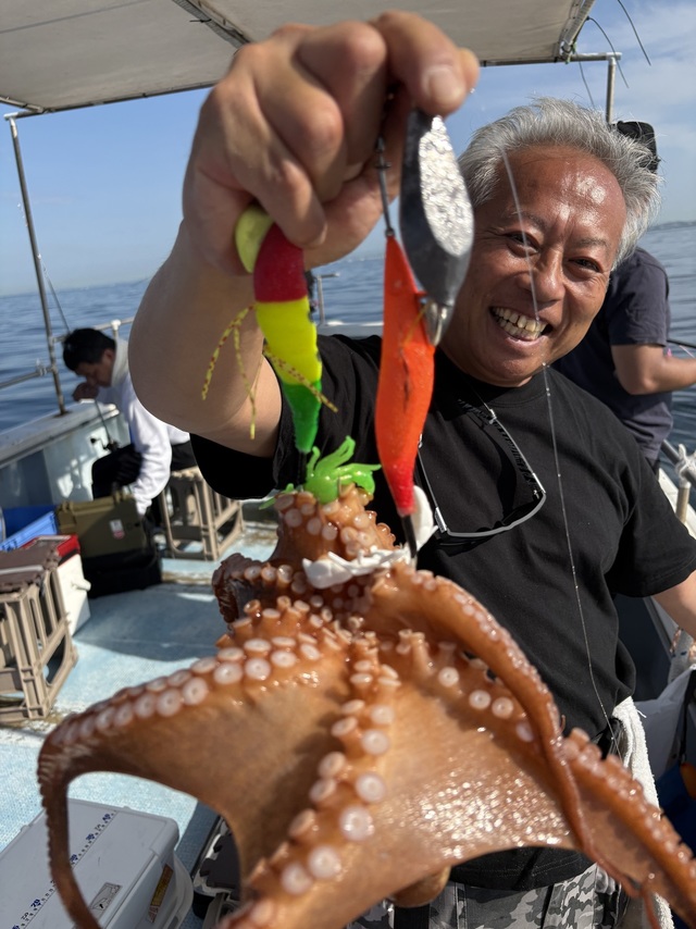 マダコ