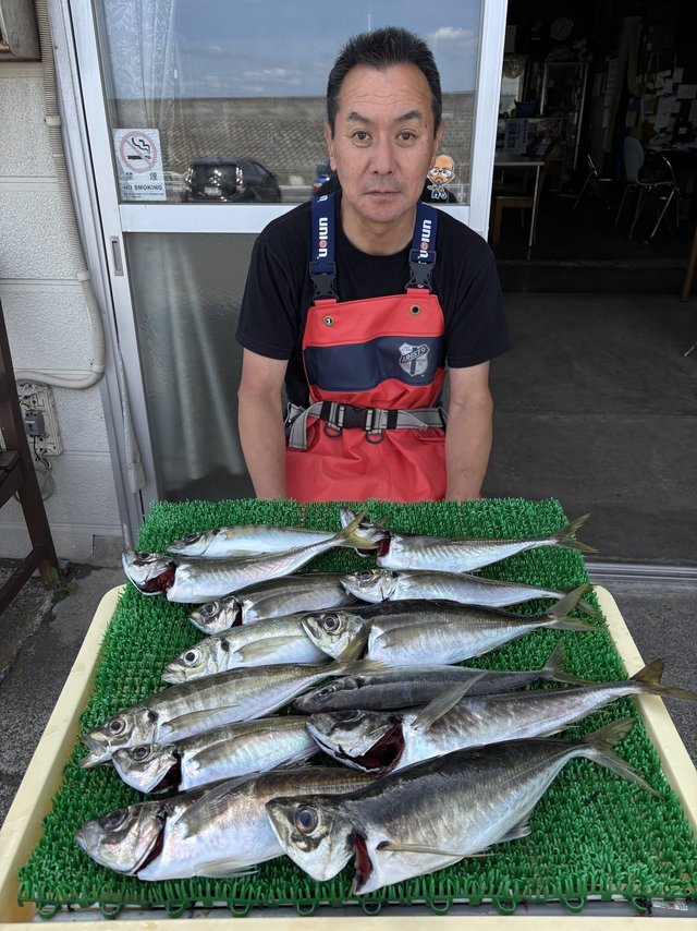 アジ(マアジ)