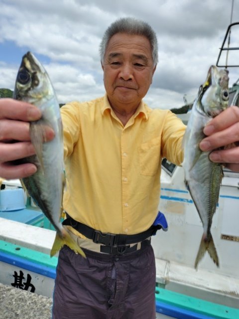 アジ(マアジ)