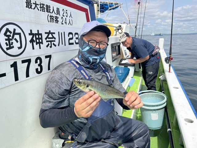 アジ(マアジ)
