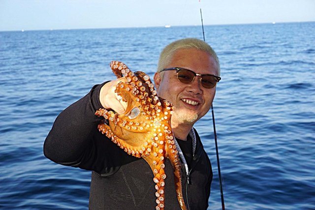マダコ