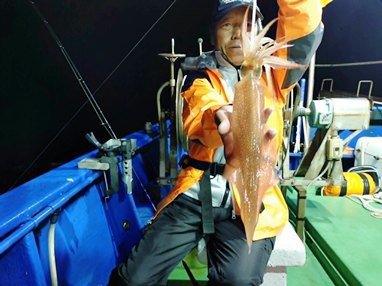 マイカ(ケンサキイカ)