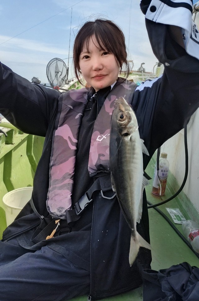 アジ(マアジ)