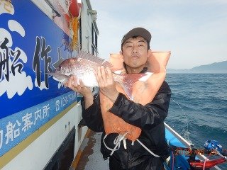 マダイ