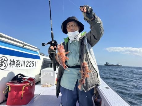 カサゴ