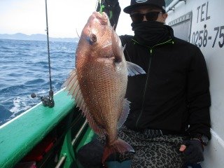 マダイ