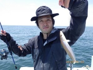 シロギス