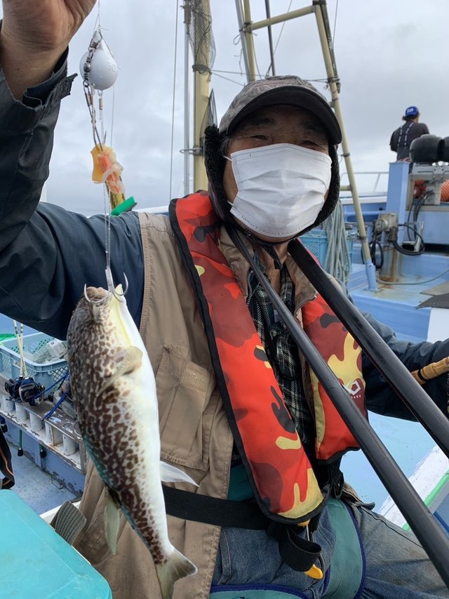 ショウサイフグ