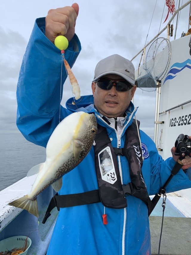 ショウサイフグ