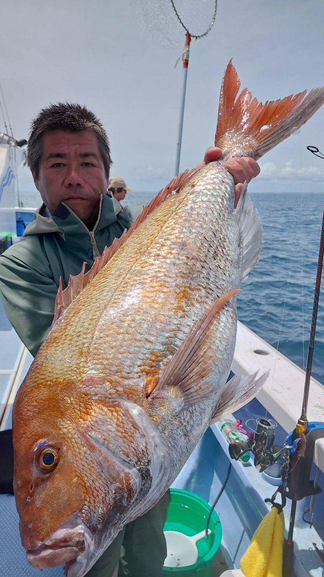 マダイ
