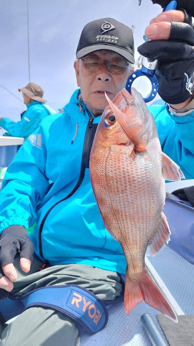 マダイ