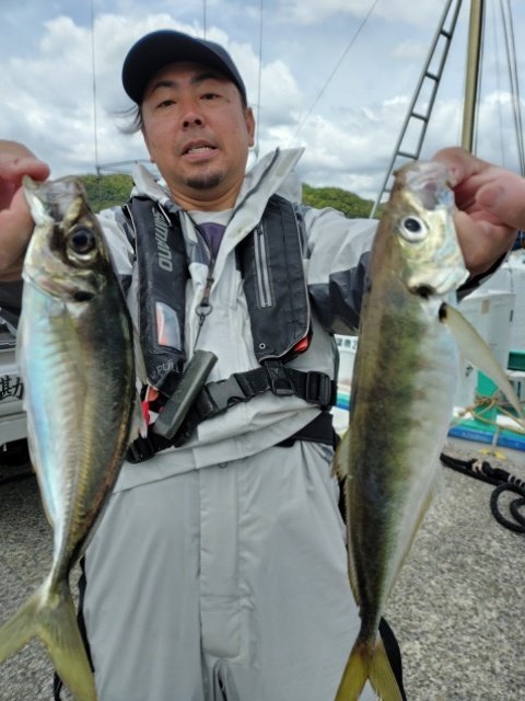 アジ(マアジ)