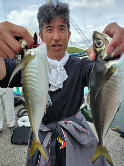 アジ(マアジ)