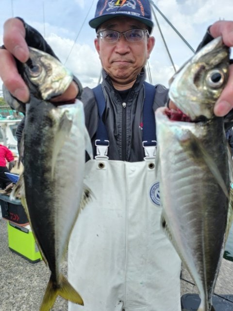 アジ(マアジ)