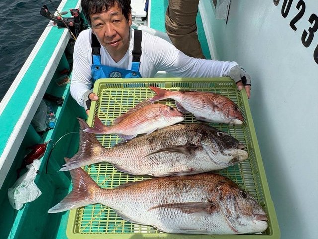 マダイ