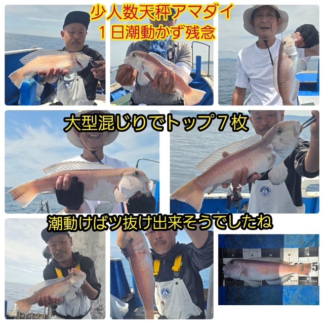 シロアマダイ