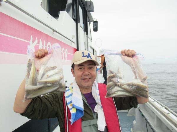 シロギス