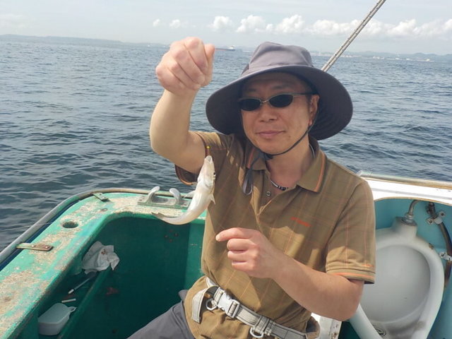 シロギス