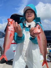 ハチビキ
