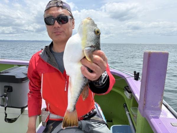 ショウサイフグ