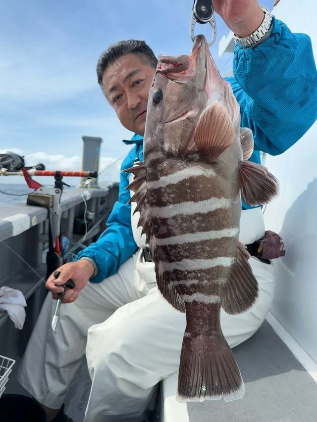 マハタ