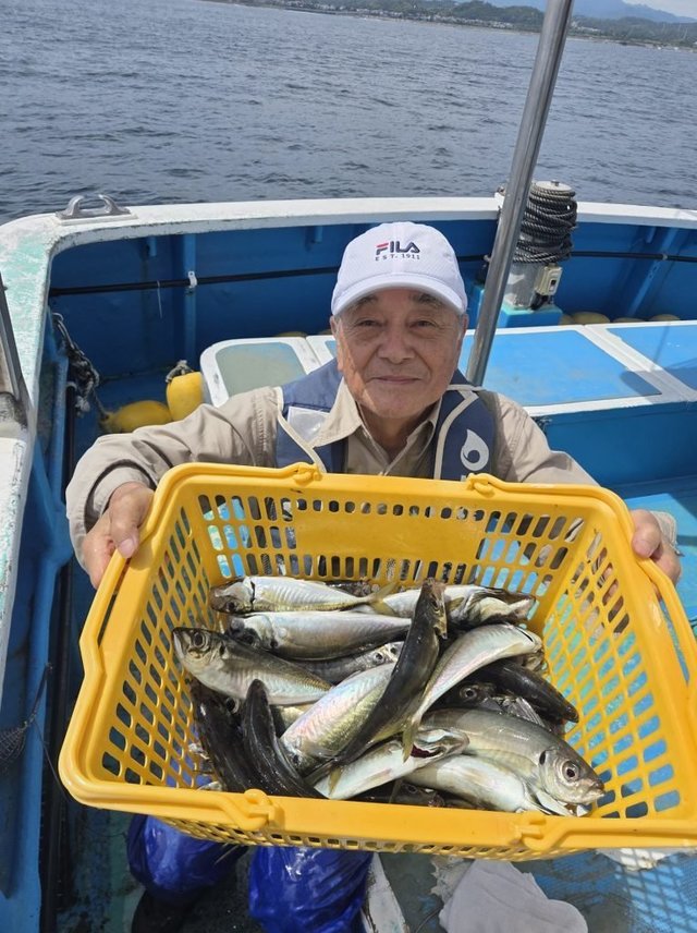 アジ(マアジ)