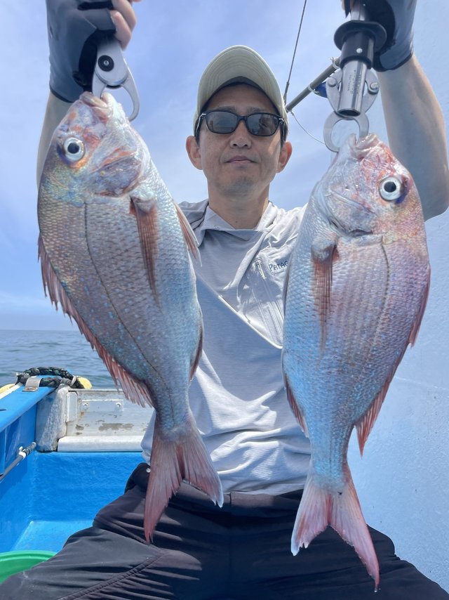 マダイ