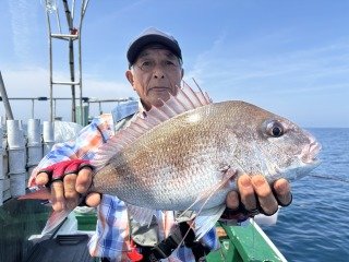 マダイ