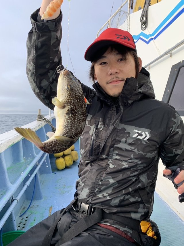 ショウサイフグ