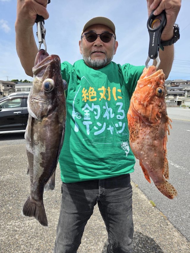 アラ