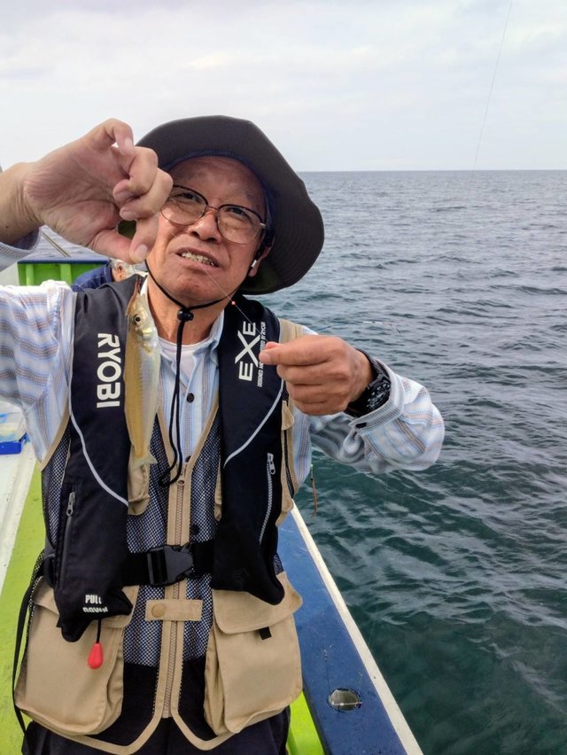 シロギス