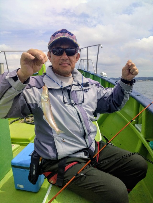シロギス