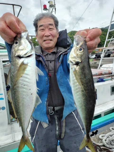 アジ(マアジ)