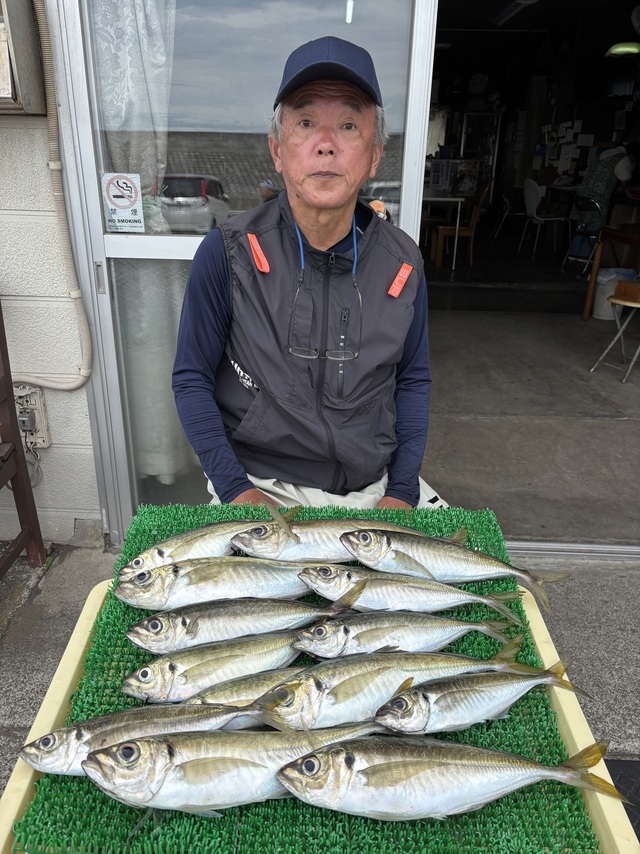アジ(マアジ)