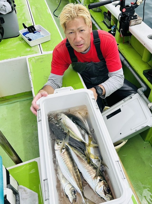 アジ(マアジ)